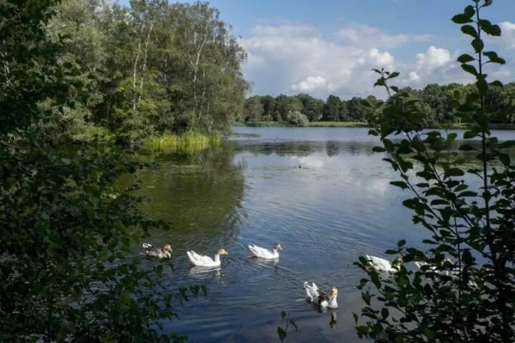 Homestay Right Garden Suite In Villa Near Centre And Tue Eindhoven Netherlands